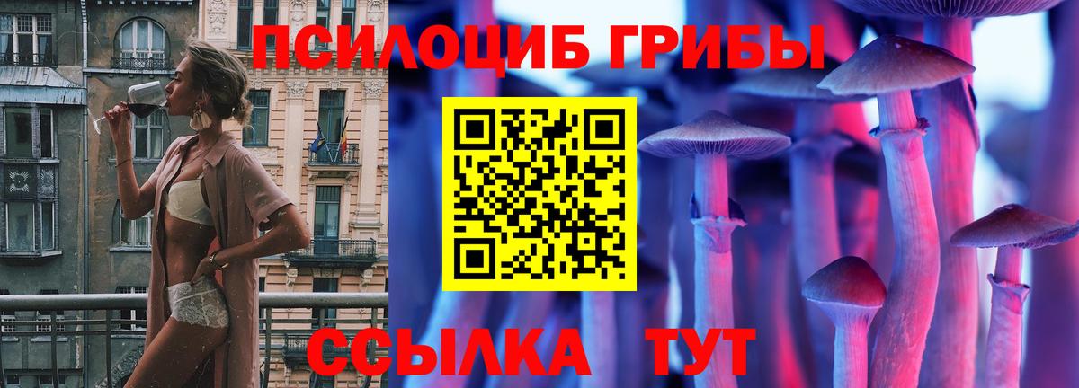 Галлюциногенные грибы прущие грибы  Вход с VPN  Саров 